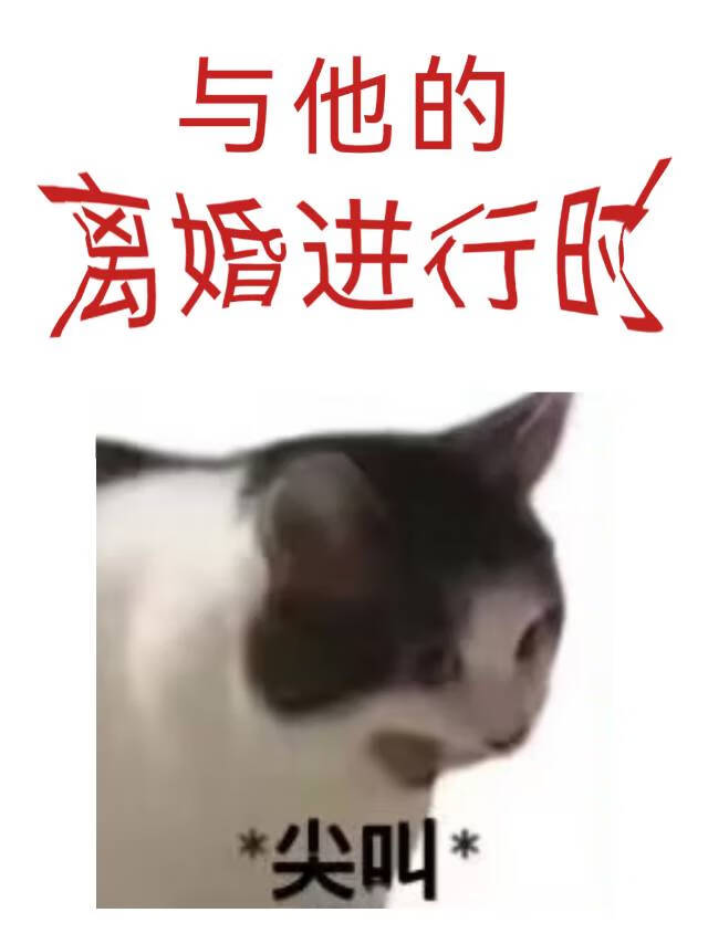 和他离婚