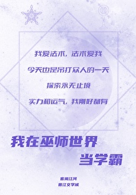 我在异界当巫师