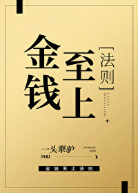 金钱至上 小说