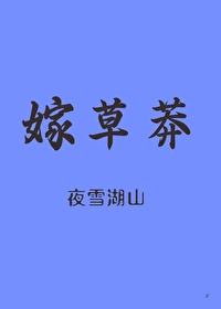 恰如天上月网盘