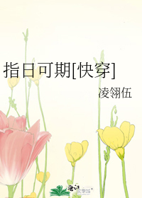 指日可待快穿