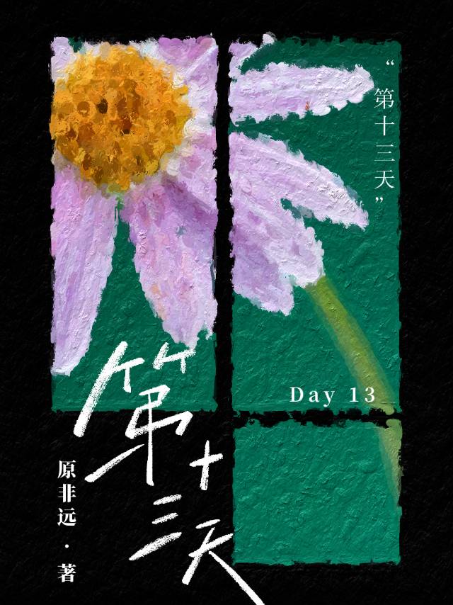 排卵第十三天