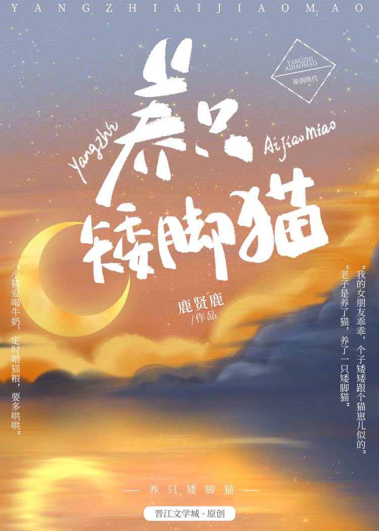 养矮脚猫每个月花费