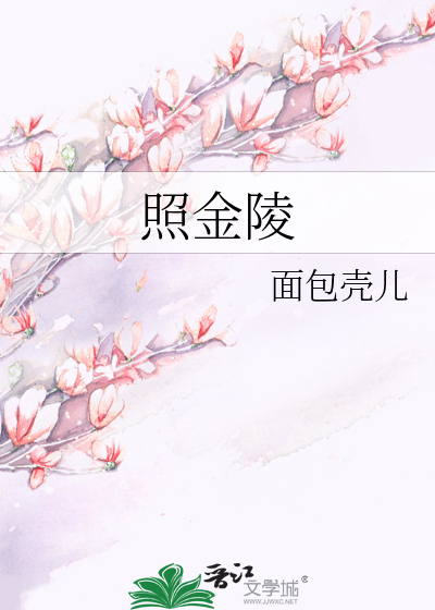 央视血色迷雾