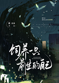 小狗喜欢粘着我