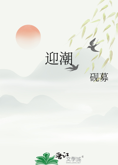 迎潮新能源有限公司