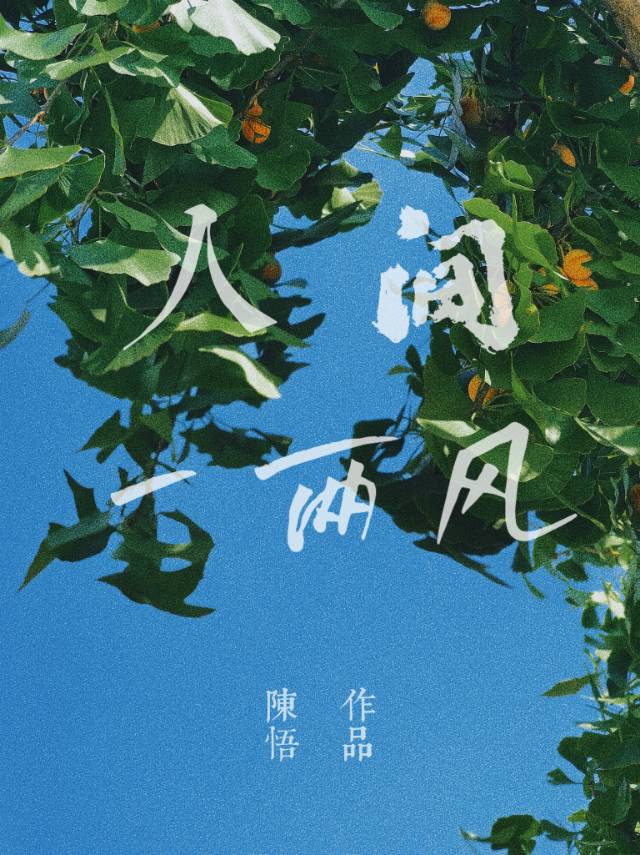 人间一两风完整版