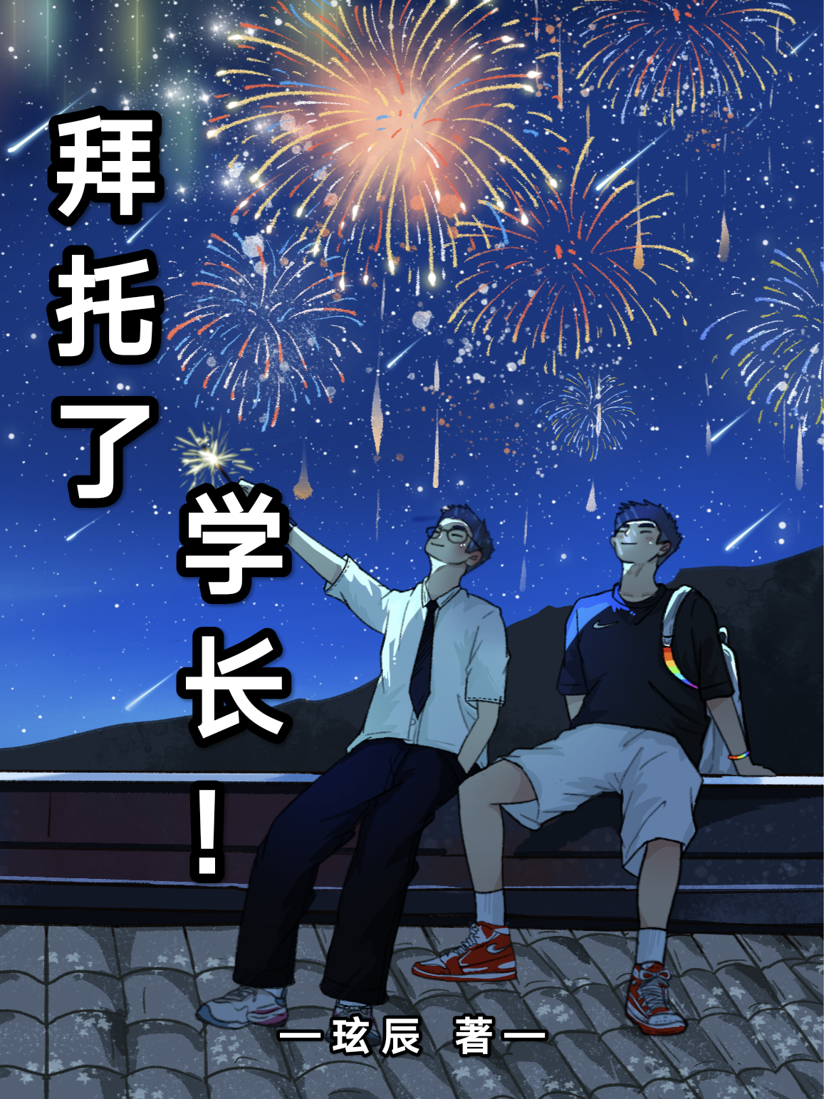 拜托了学长电视剧