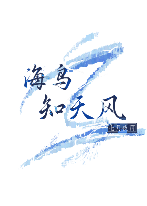 海鸟天地
