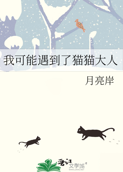 我遇到了一只猫