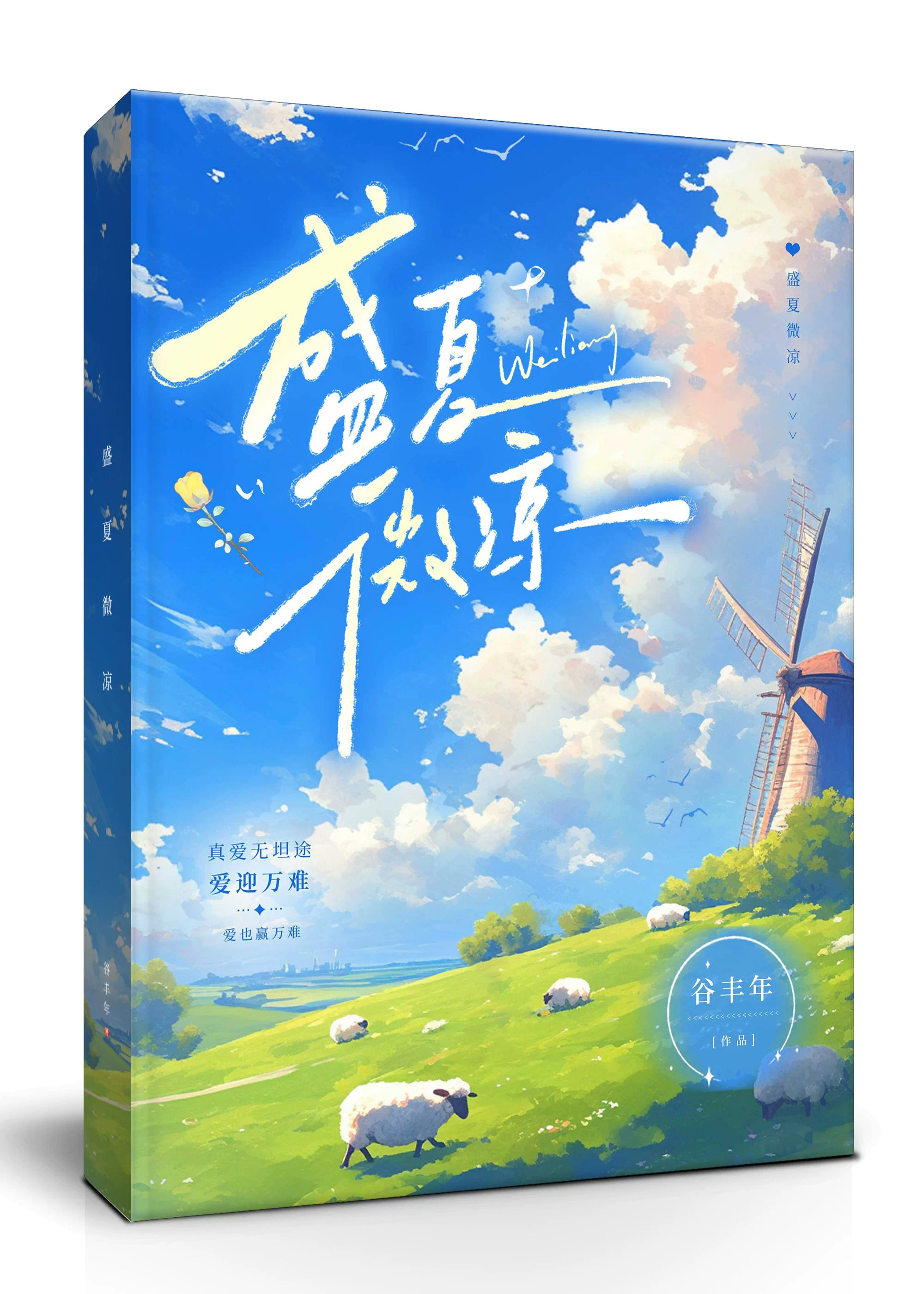 盛夏微凉贾雪迪
