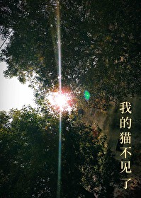 我的猫不见了它是黑白相间的英语