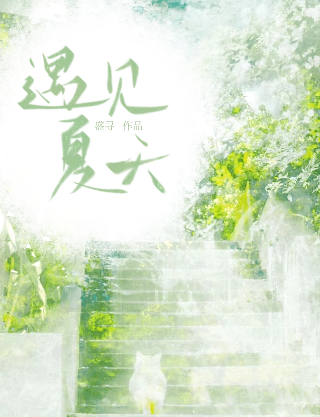 遇见夏天遇见爱情