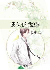 遗失的海岸攻略