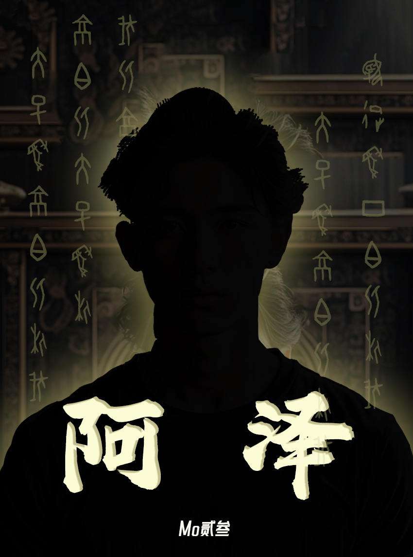 阿泽n计划