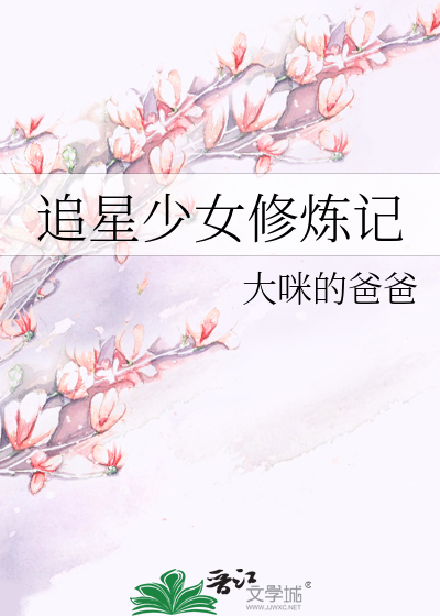 追星少女成功图鉴