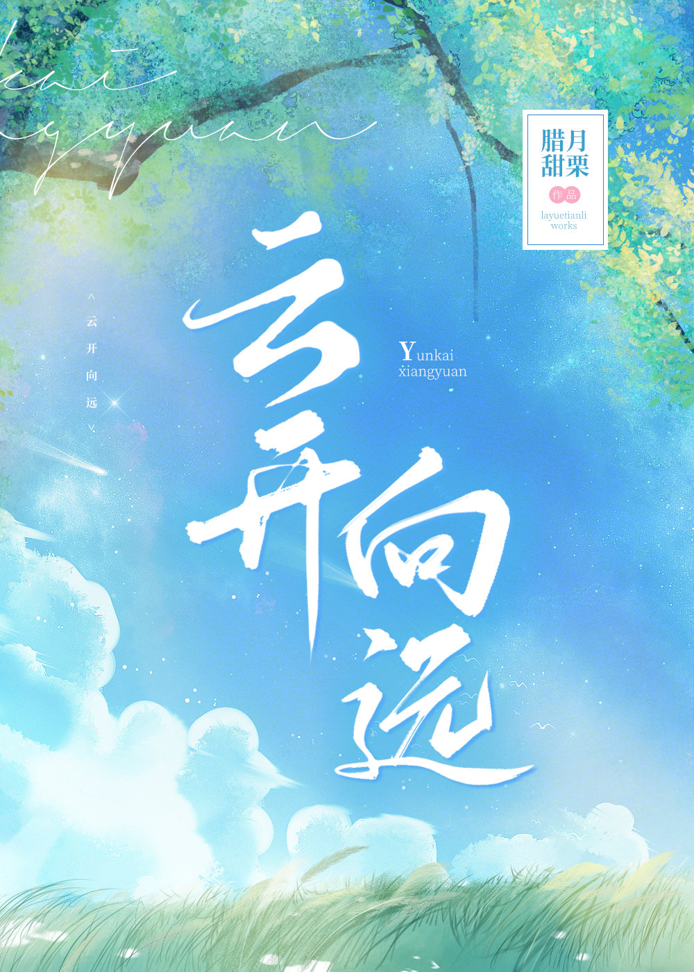 小说云开
