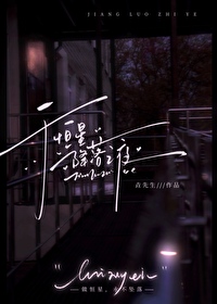 于恒星降落之夜小说