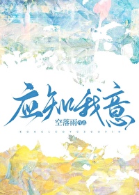 应知我意小说