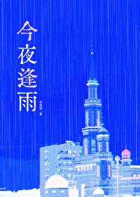 今夜逢雨小说