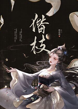 我与夫君斡旋九州小说
