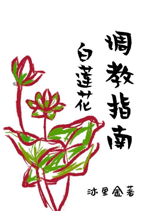 白莲花调教指南